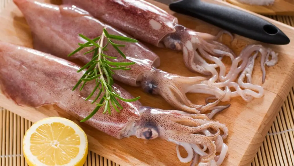 Mực có bao nhiêu loại và mẹo phân biệt các loại mực biển