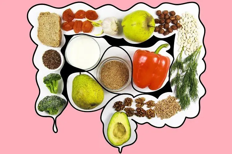 8 loại thực phẩm giảm khó tiêu cho thực đơn hằng ngày