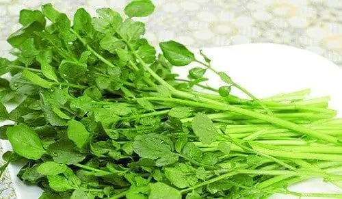 Cách làm món cải xoong xào tôm giúp Mẹ đẹp da đẹp dáng