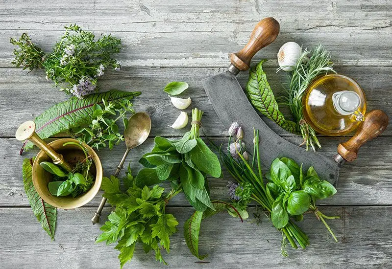 The Benefits of Fresh Herbs Header 800x550