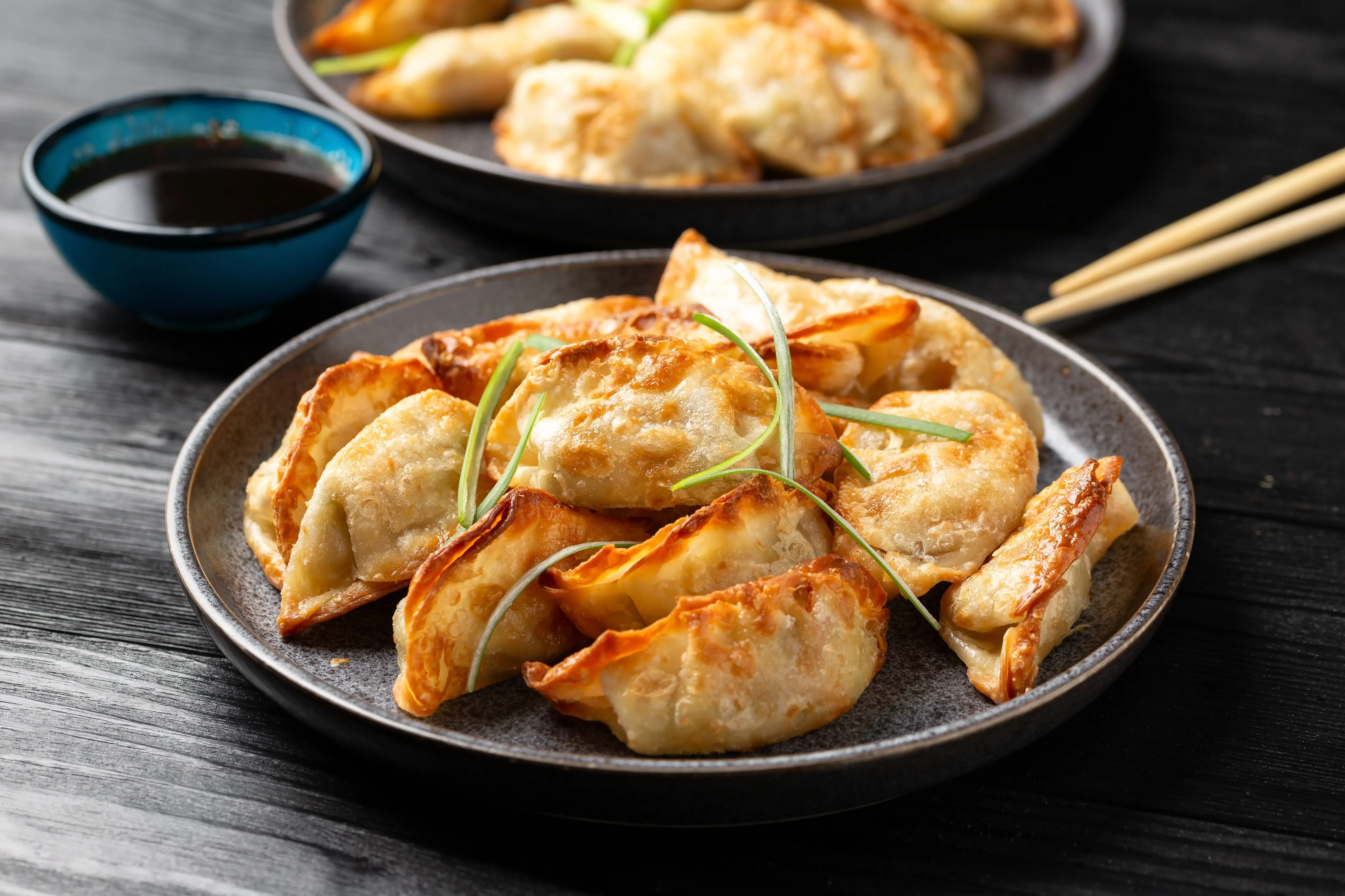 banh gyoza 1