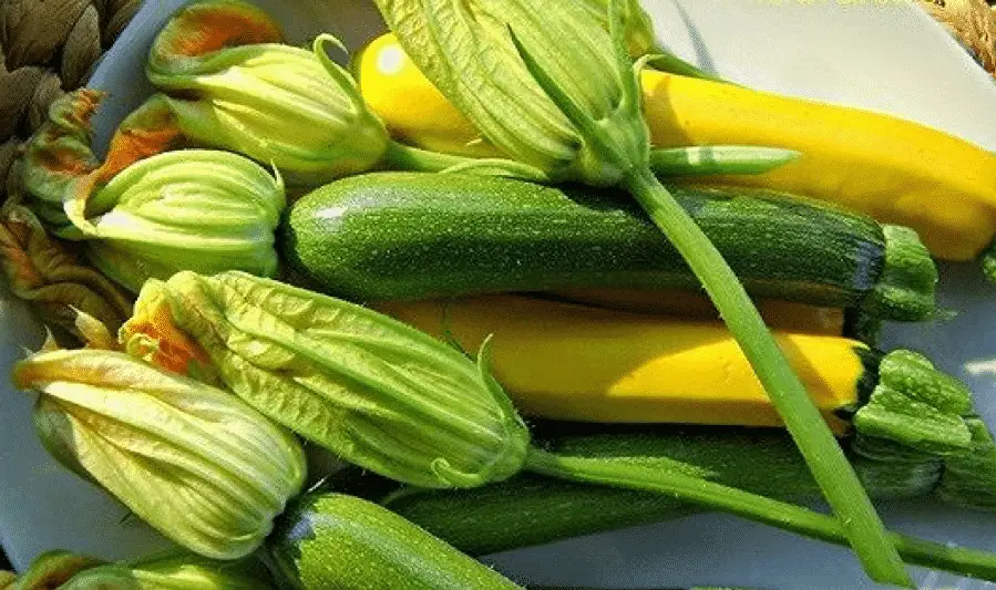 bi ngoi