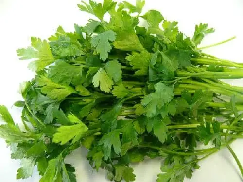 8 loại gia vị tăng dinh dưỡng cho m&oacute;n ăn