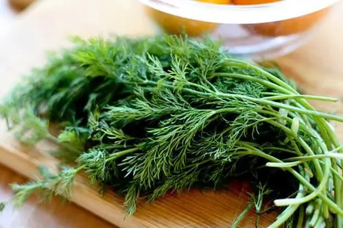  C&aacute;c loại rau gia vị