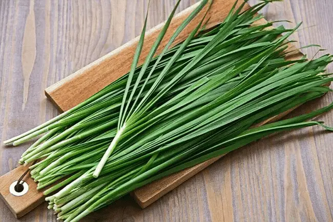 Tất tần tật dinh dưỡng từ lá hẹ mà cả nhà nên biết