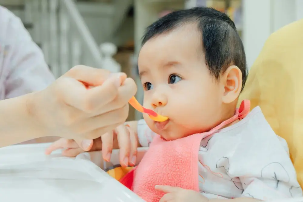thuc don an dam cho be 6 thang