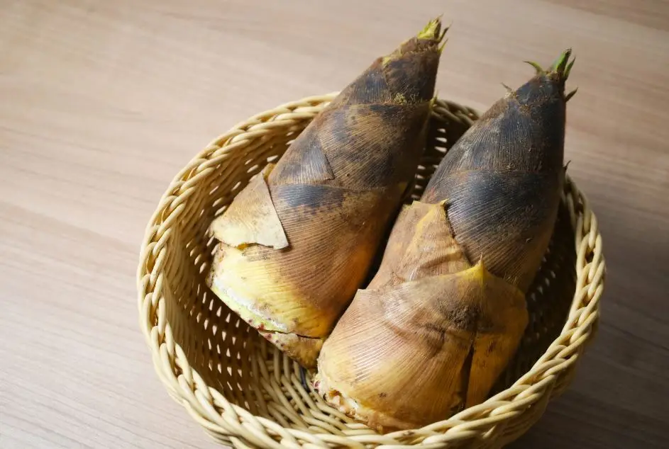 Mang tre tuoi dinh duong va luu y khi dung mang 1