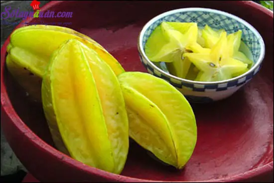 canh ri&ecirc;u cua 5