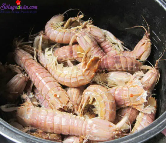 b&uacute;n bề bề 4