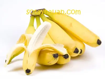 C&aacute;ch l&agrave;m sinh tố chuối, xo&agrave;i dứa tổng hợp ngon| dạy c&aacute;ch l&agrave;m sinh tố | m&oacute;n ngon mỗi ng&agrave;y|Sotaynauan.com