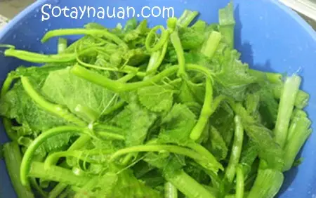 Rau b&iacute; x&agrave;o tỏi 1