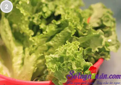 Salad rau mầm tươi 2